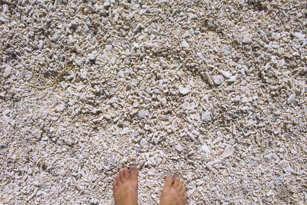 Foto von Korallenstrand von oben für Hintergrund oder Vorlage. — Stockfoto