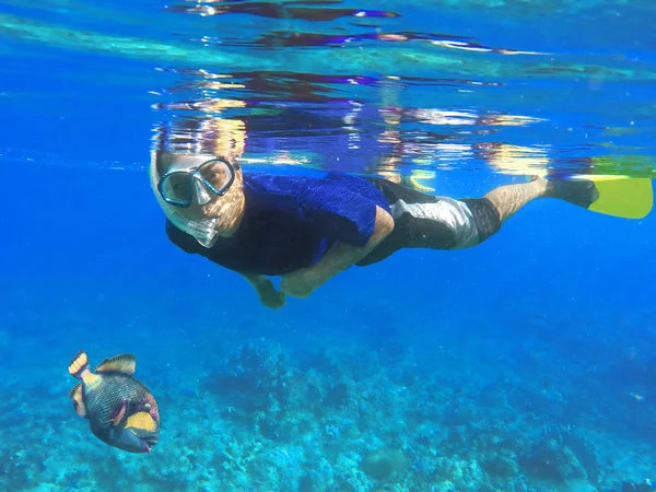 Tuba asiatique et gros poissons sous l'eau bleue pendant la leçon de plongée en apnée près du récif corallien — Photo