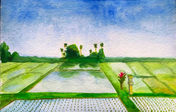 Aquarell-Handmalerei von Reisfeldern, Aquarell-Handmalerei — Stockfoto