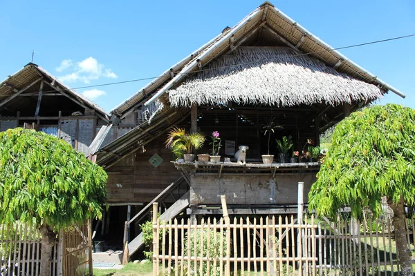 Ξύλινο σπίτι σε σωρούς, ζωή στο χωριό, λευκό σκυλί, φτωχό χωριό καλύβα με coco palm φύλλα στεγών — Φωτογραφία Αρχείου