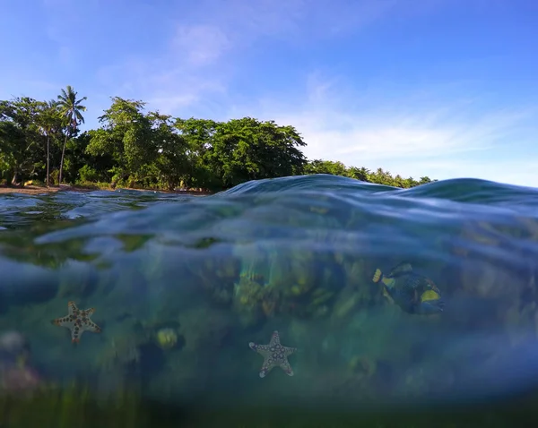 Beach and sea water double landscape. Real sea water line photo — Stock Photo, Image