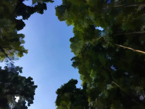 Gökyüzü arka planda koyu yeşil ağaç kron. Doğal dijital çizim.