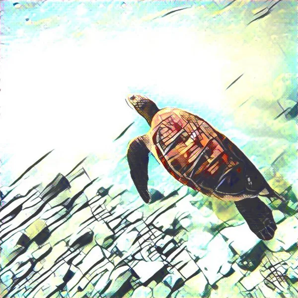 Tengeri teknőst úszni a víz alatt. Absztrakt digitális illusztráció trópusi jellegű. — Stock Fotó