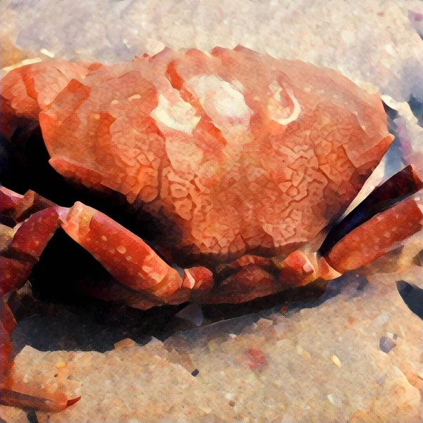 Grand crabe rouge de l'arrière sur le sable de la plage. Illustration numérique dans le style peinture — Photo