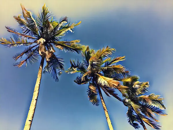 ココのヤシの木と青い空のビュー。エキゾチックな島ヴィンテージ画像 — ストック写真