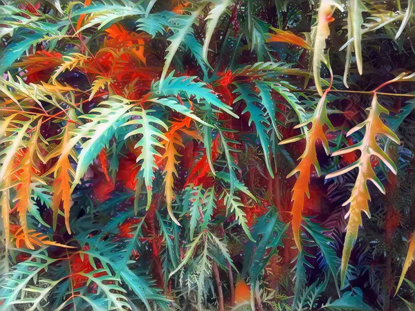Folhas verdes e vermelhas de planta tropical closeup imagem de fundo . — Fotografia de Stock