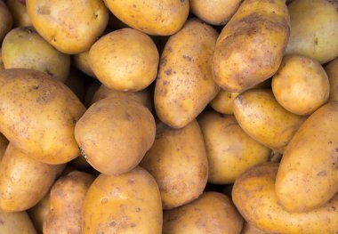 Patates yakın fotoğraf grup. Kahverengi ve sarı sebze görüntü.