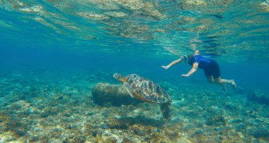 Deniz kaplumbağası ile yüzme kadın. Tropik ada tatil spor aktivitesi.