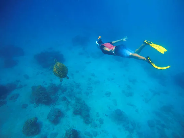 Homme nageant avec la tortue de mer. Tuba dans les nageoires jaunes nage sous l'eau . — Photo