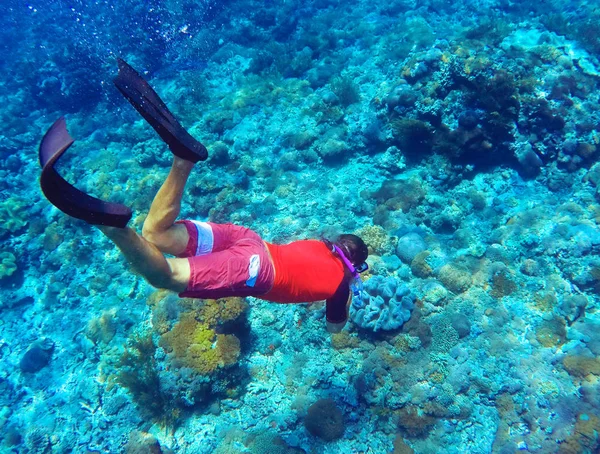 Snorkeling man dives to sea bottom. Young coral reef in deep blue water — Stock Photo, Image