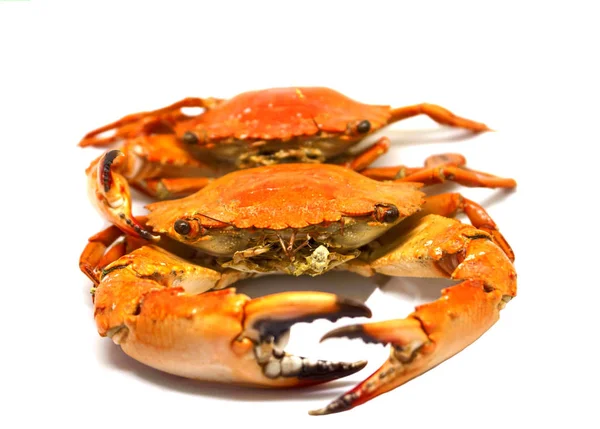 Red crabs on white background. Cooked sea crab meat on white background. — Stock Photo, Image