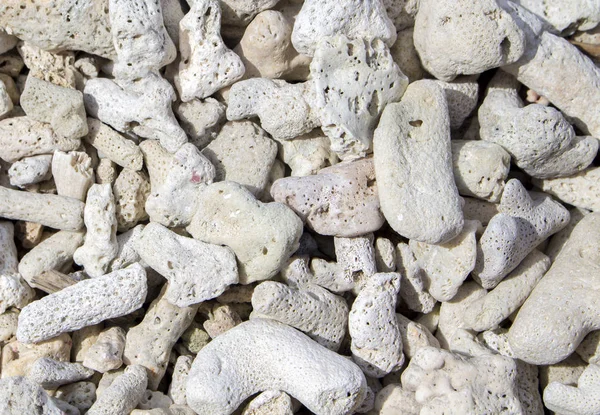 White coral pebbles texture. White corals on a wild tropical beach.