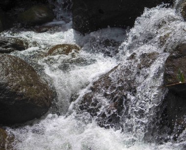 Dağ nehir siyah kayalar arasında. Tatlı su taşları hızlı akışında.