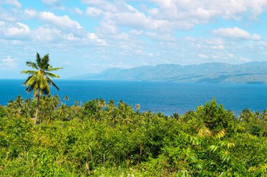 Palmiye ağacı orman ve deniz ile tropikal sahne. Filipinler ada atlamalı.