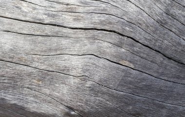 Sıkıntılı ahşap doku closeup fotoğraf. Soğuk gri ahşap arka plan.