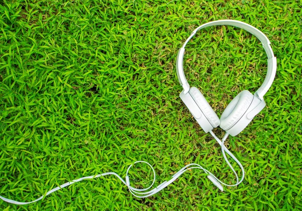 White headphones on green grass. Summer lawn with personal device.
