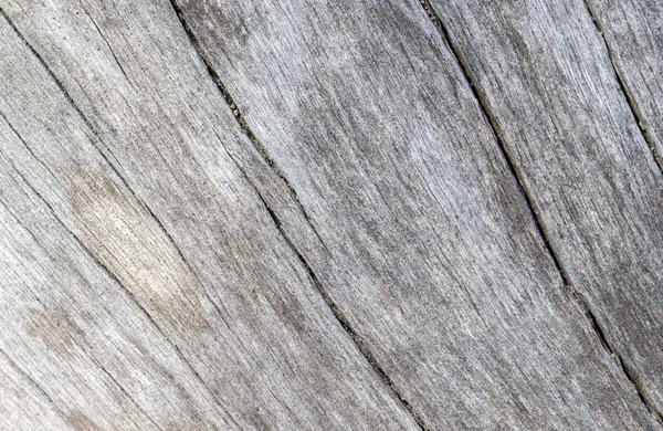 Old sea wood texture with curves photo. Weathered timber board with crack lines. — Stock Photo, Image