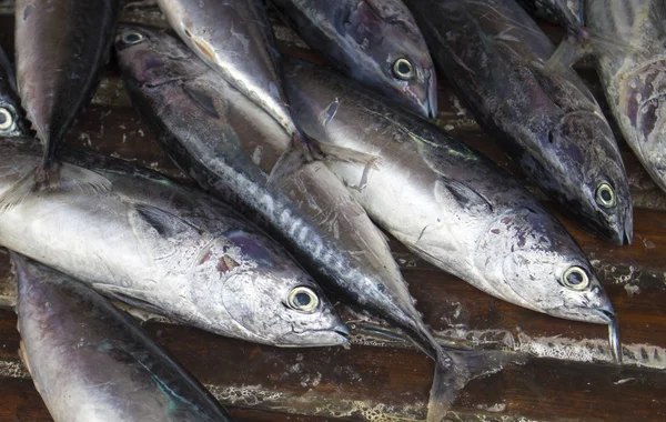 Havet fiskar närbild på fiskmarknaden. Färsk havsfisk för sälja. — Stockfoto