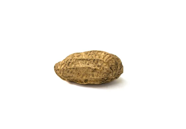 Whole peanut on white background. Raw peanut in textured shell. — Stock Photo, Image