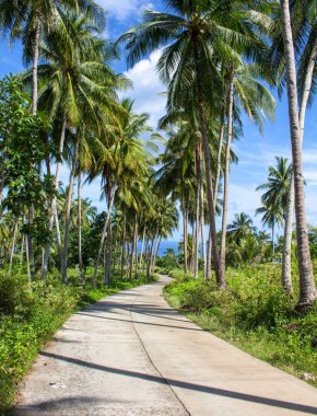 Tropikal peyzaj yol ve palmiye ağacı. Yaz manzara kırsal arazi üzerinden yol ile. Güneşli yol kenarı ile egzotik ada seyahat panorama. Metin için yer ile turizm ve tatil afiş şablon