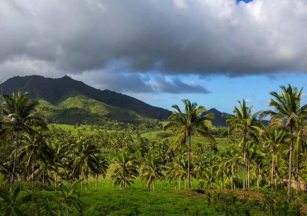 Tropical landscape with palm trees and forest. Distant mountain or hill green silhouette. Stormy clouds on blue sky. Perspective view of exotic island landscape. Traveling in wild nature of paradise
