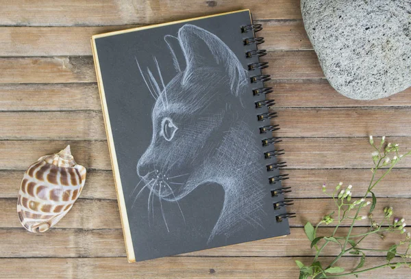 Testa di gatto ritratto disegnato a mano illustrazione. Gatto di gesso bianco su carta nera — Foto Stock