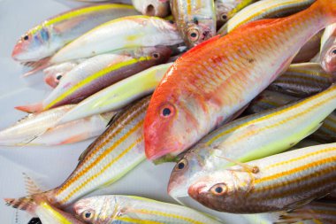 Balık pazarı masada kırmızı ve sarı tropikal balık yakalamak.