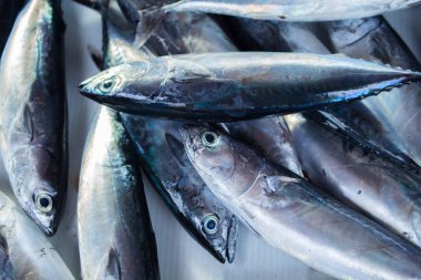 Taze gümüş tropikal balık Balık pazarı masaya yakalamak. Okyanus balık yemek pişirmek için