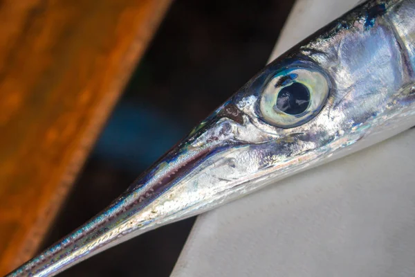 Ψάρια κεφάλι σε άσπρο φόντο. Θαλάσσιna ψάρια closeup φλάουτο. Στενό μακρά ψάρι κεφαλή. — Φωτογραφία Αρχείου