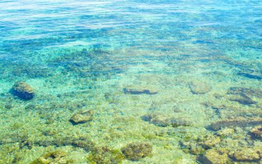 Beyaz mercan sahilinde turkuaz mavisi deniz suyu. Tropikal adanın beyaz Plajı. Tropics güzel doğası. Yaz seyahati afiş. Karayip sahil arka plan. Beyaz kum üzerinde Aqua mavi deniz suyu.