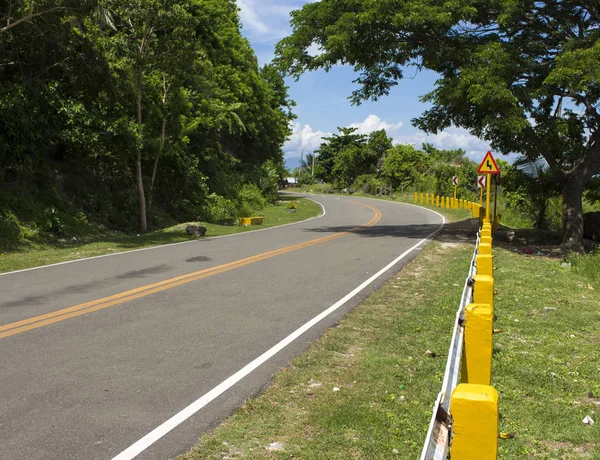 Paisaje Verano Con Carretera Bosque Verde Viaje Por Carretera Día —  Fotos de Stock