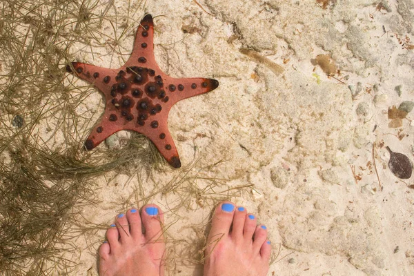 海の水で赤いヒトデと女足 白い砂の海辺 女性の足で海砂平面図です 青いペディキュアと女の子の足 夏旅行の背景 白いビーチのバナーです 砂の上のセクシーな足 — ストック写真