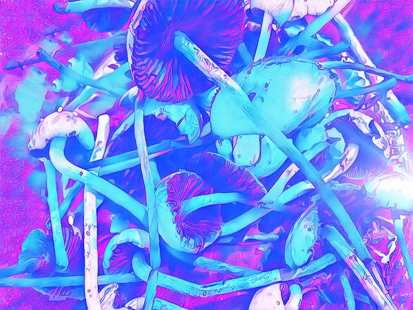 Волшебная Цифровая Иллюстрация Грибов Голубого Цвета Гриб Тонким Стипом Широким — стоковое фото