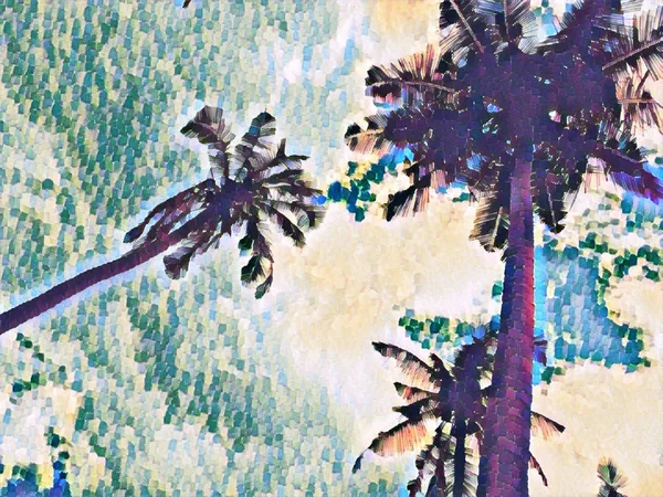 空の背景で背の高いココのヤシの木 熱帯の島サンセット デジタル イラストレーション 空のバナー テンプレートをパームします ふわふわヤシ葉飾り エキゾチックな島の夜 ブラシ ストロークの描画 — ストック写真