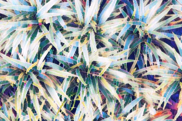 トロピカル リーフ平面図です エキゾチックなガーデン デジタル イラストレーションで草の葉を色あせた ナチュラル リーフの飾り 鉢植えの観葉植物 ヴィンテージの花装飾です エキゾチックな観葉植物のアートワーク — ストック写真