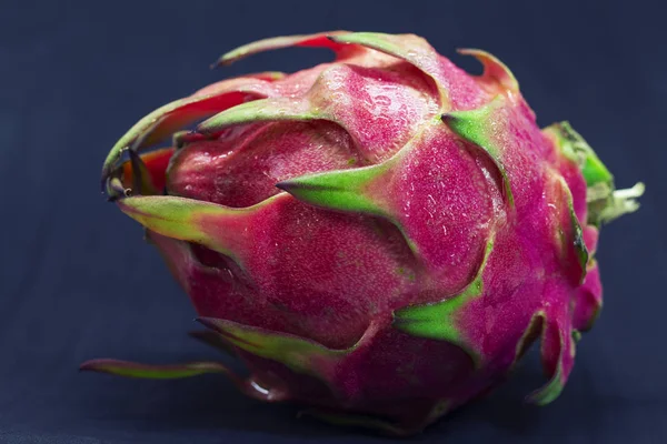 Exotic fruit Dragonfruit with pink and green skin on black background. Vibrant exotic fruit banner template. Dragon fruit or pitahaya studio photo. Sweet tropical fruit. Whole ripe pitahaya closeup