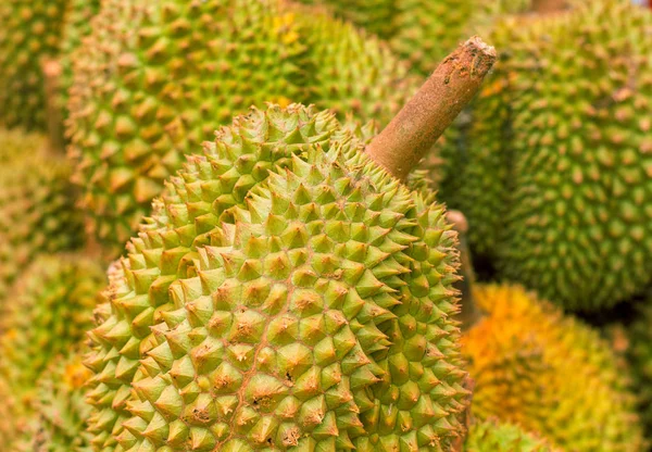 Durian owoców stos na rynku. Egzotycznych owoców durian na sprzedaż. Słodki owoc tropikalny z śmierdzący zapach. — Zdjęcie stockowe