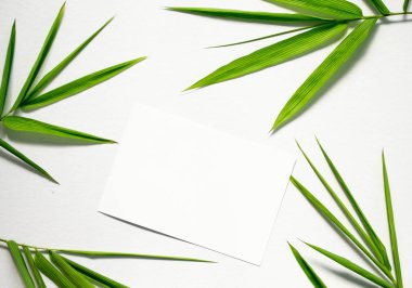 Zen düz yaprak yeşil ve beyaz kağıt ile yatıyordu. Bambu yaprak çiçek aranjman beyaz arka plan üzerinde.