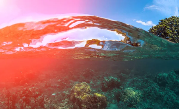 Double landscape with sea and sky. Split photo of sunny seashore. Above and below sea waterline. — Stock Photo, Image