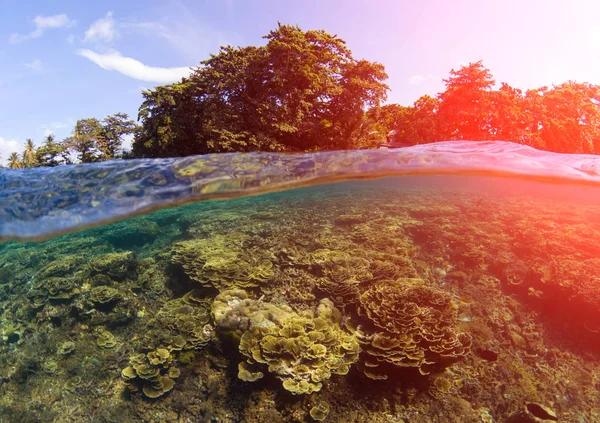 Double landscape with sea and sky. Seascape split photo. Tropical island greenery. — Stock Photo, Image