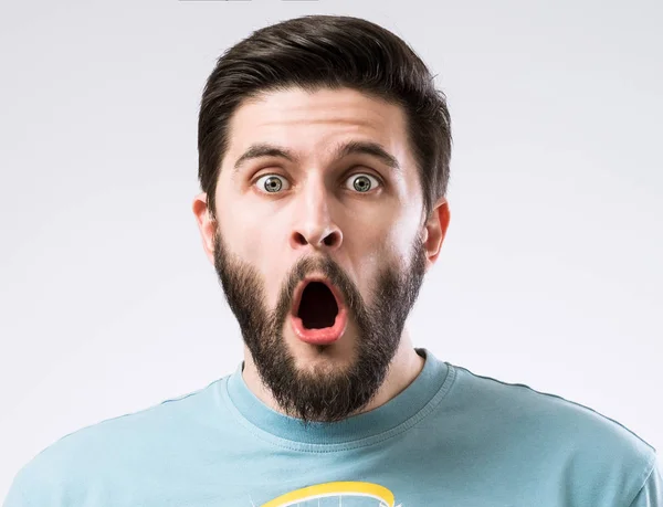 Sakallı adam portresi 