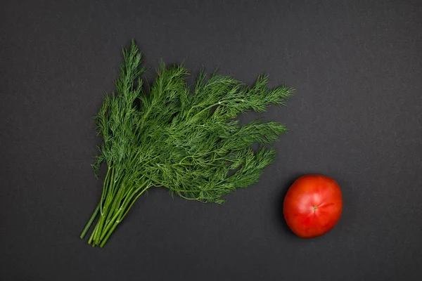 Green fennel and red tomato — Stock Photo, Image