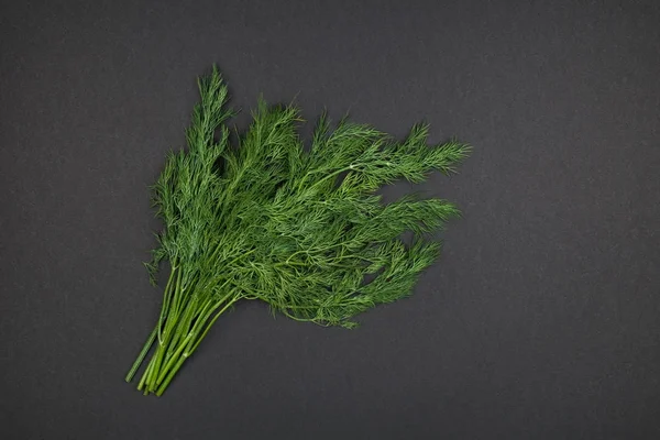 Green fennel on black — Stock Photo, Image