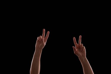 Rock konseri ellerde 