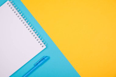 Mavi kalem ile boş not defteri