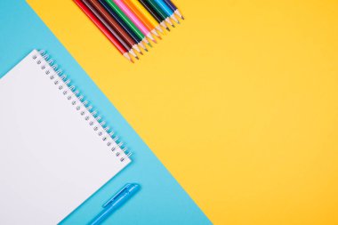 Mavi kalem ile boş not defteri