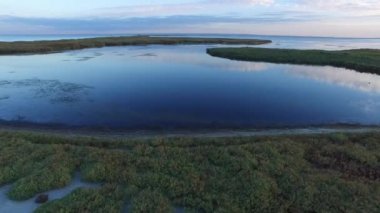 Defne deniz üzerinde uçan