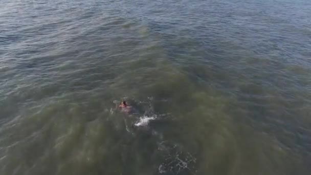 Hombre nadando mariposa en el mar — Vídeo de stock