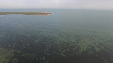 Defne Yatlar denize doğru denize uçan