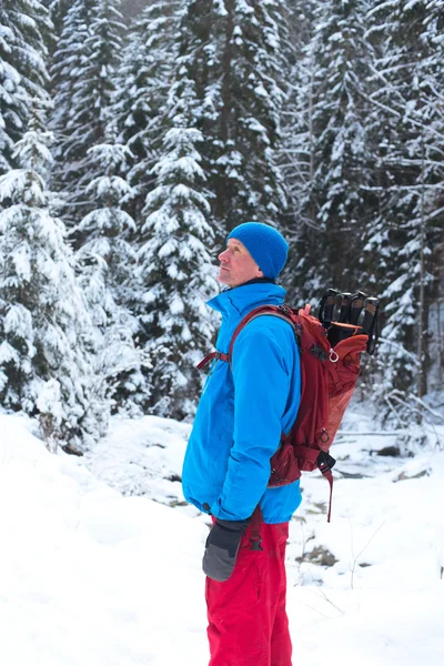 Uzun yürüyüşe çıkan kimse sırt çantası ayakta arasında kar ile kaplı çam — Stok fotoğraf